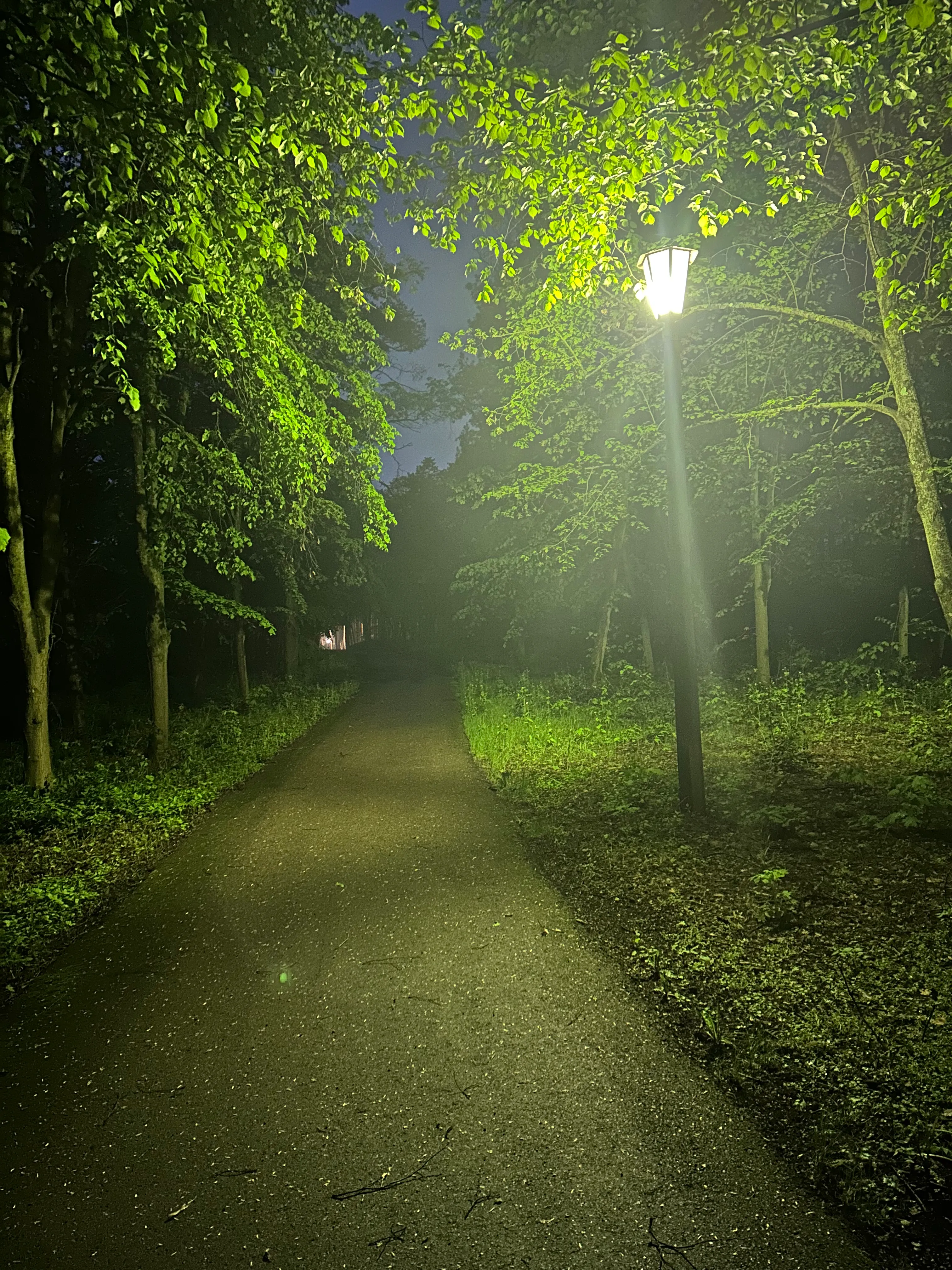 The park of the Koncha-Zaspa sanatorium