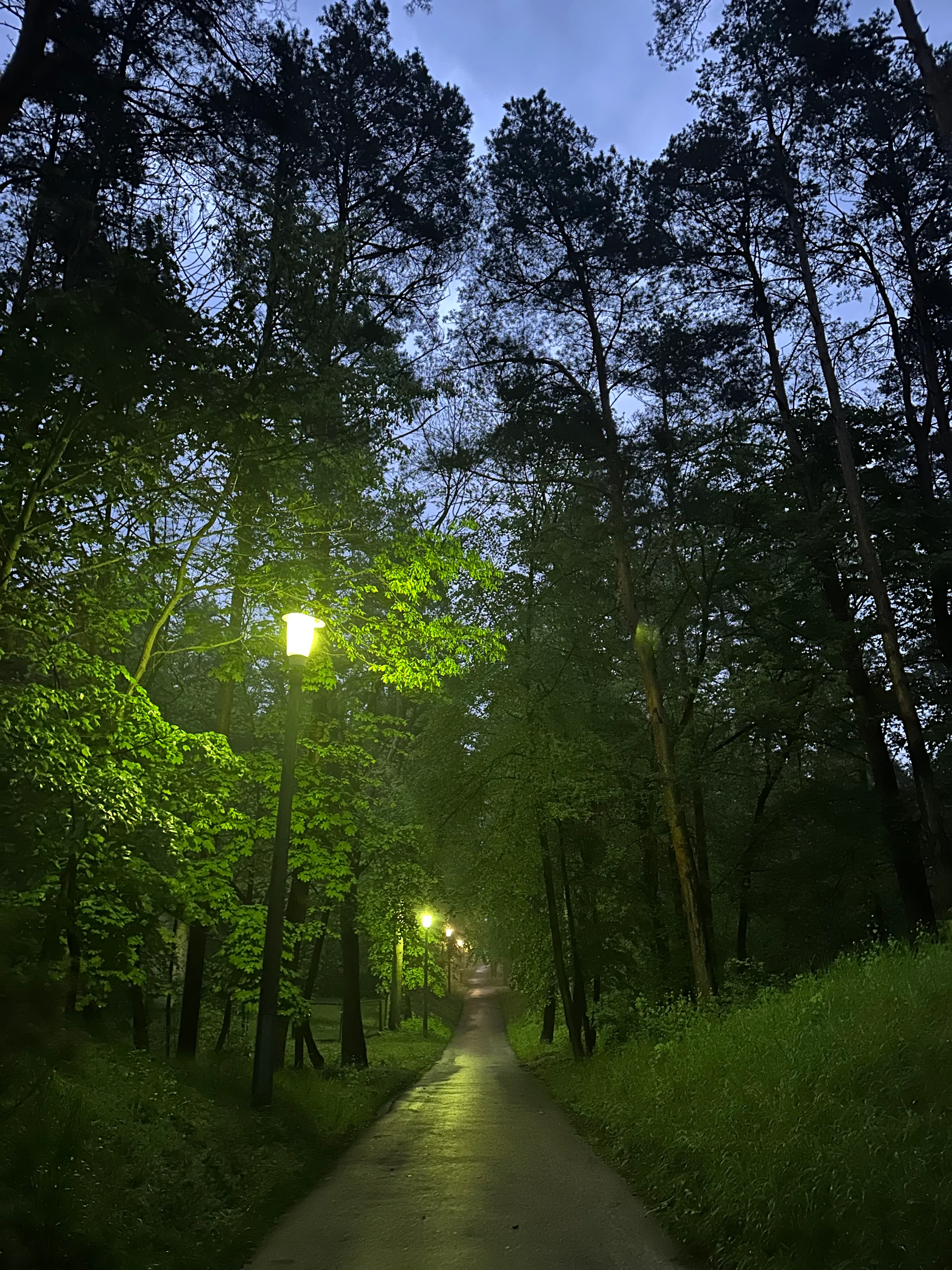 The park of the Koncha-Zaspa sanatorium